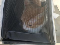 -良伴无忧宠物医院(泰欣嘉园店)