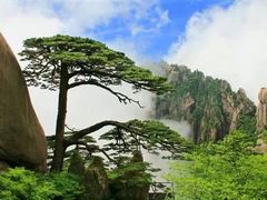 -黄山风景区