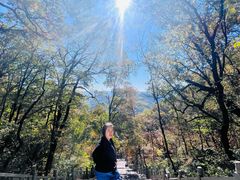 -九鼎铁刹山风景区
