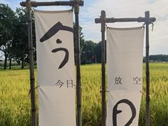 -光明小镇欢乐田园