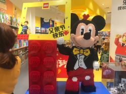 -乐高授权专卖店(华采天地店)