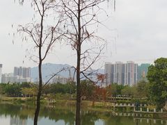 -飞来湖湿地公园