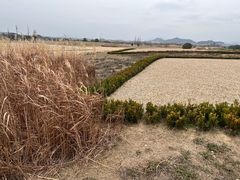 -良渚古城遗址公园