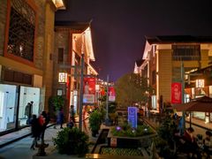 -新津老码头旅游小镇