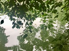 -房湖公园