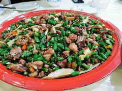 -东吴霸王兔(松青路店)
