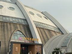 -丁老爷子苏香圆