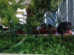 -风致肯麦基(忠信店)