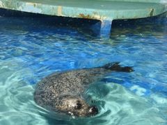 -太平洋海底世界