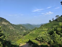 -西湖风景区十里琅珰-五云山