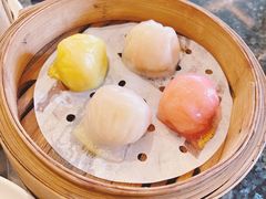 金箔猛狮虾饺皇-汕头猛狮凯莱酒店点心坊