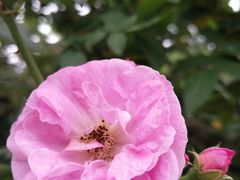 -人民公园(罗湖区)