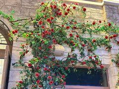 -华谊兄弟（长沙）电影小镇