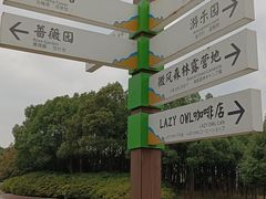 -宜兴龙背山森林公园