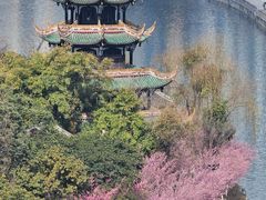 -望江楼公园