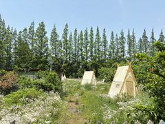 -前小桔亲子创意农场·草莓采摘·露营烧烤