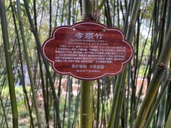 -个园