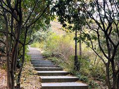 -杭州半山国家森林公园