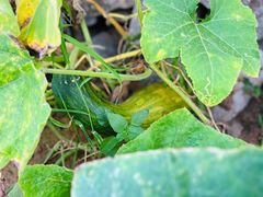 -东戴河风景区-止锚湾