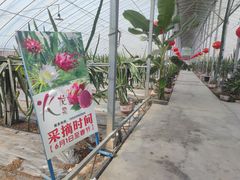 -兰陵国家农业公园