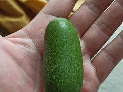 -油麻地果栏