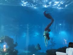 -海棠湾洲际-涛·海底餐厅·美人鱼·自助餐·海底隧道