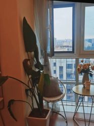 点击看大图 -演员的秘密·皮肤管理