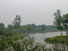 -东郊湿地公园