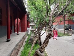 -洛阳白马寺