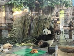 -泉州海丝野生动物世界