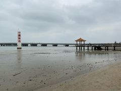 -东郊椰林