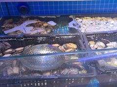 -花西亭·海鲜自助餐厅(瑞城名人酒店)