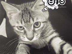 -P2·创客中心(东海广场店)