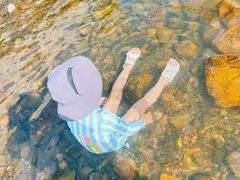 -北仑森林植物园