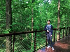 -黄海国家森林公园