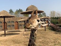 -济南野生动物世界