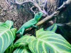 -酷嗒动物文化乐园(cutezoo西溪乐天城店)