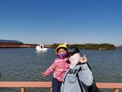 -乌梁素海景区