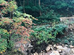 -大连天门山国家森林公园
