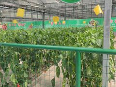 -兰陵国家农业公园