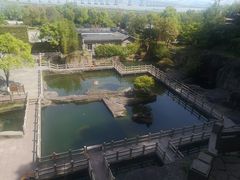 -蛇蟠岛