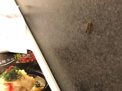 -谷田稻香(南洋1931店)