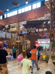 -卡通尼·Safari非洲探索乐园·生日会(金桥国际商业广场店)