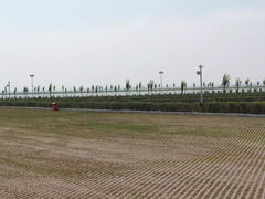 -呼兰河口湿地公园