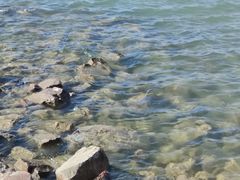 -象湖生态湿地公园