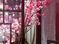 -六合居·邯郸菜·武安菜起源地