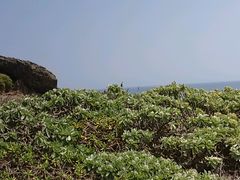 android_upload_pic-龙坑生态保护区