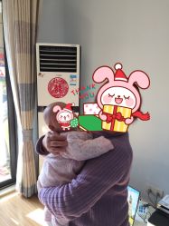 -龙文宝贝上门婴儿理发满月剃胎毛(总店)