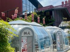 -唐猫庭院·千年陕菜(大唐不夜城店)