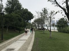 -桐乡凤凰湖